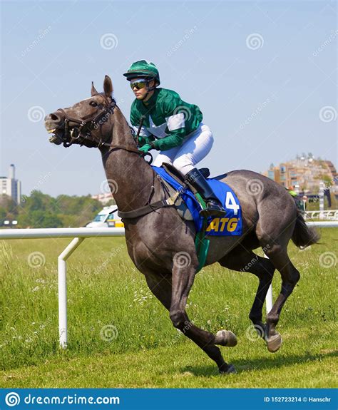 horse racing gallop